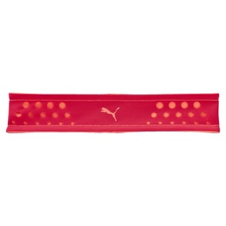[052869_02] Puma 052869_02